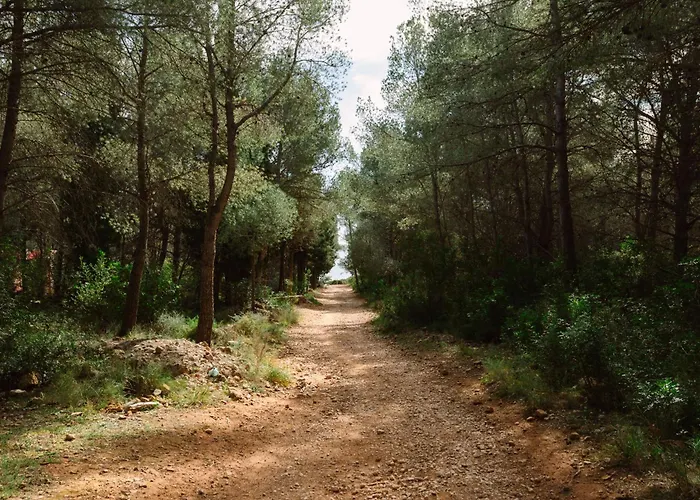 Camping Ribamar